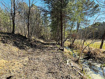 D26-02-066: 
							16775 Stechlin