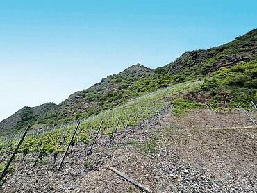 W26-02-019: Nahe L98, Flur 22, Flurstück 22
							56812 Cochem