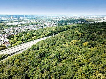 W26-02-018: Nahe Ankerbachtalweg, Flur 65, Flurstück 420
							53227 Bonn