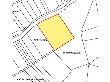 W23-01-017: nahe Straße Hinterbach Flur 16, Flurstück 11
							56821 Ellenz-Poltersdorf