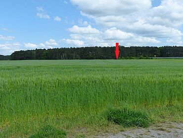 I26-17-015: an der B 101
		14959 Trebbin