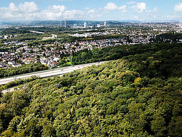 W23-03-005: Ankerbachtalweg, Flur 31, Flurstücke 671, 672, 676, 677, 678 und 679
	53227 Bonn